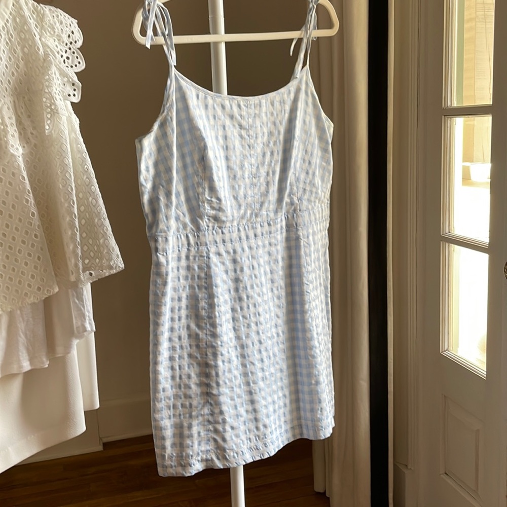 Madewell Gingham Dress / US14